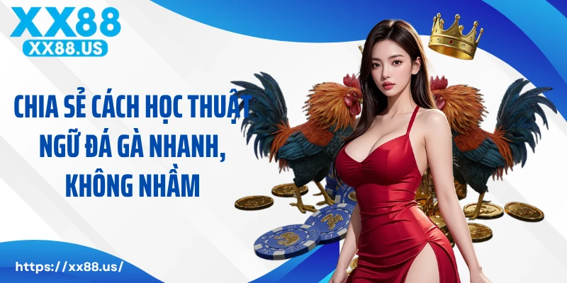 Chia sẻ cách học thuật ngữ đá gà nhanh, không nhầm